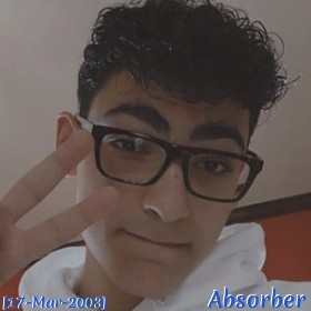 Absorber