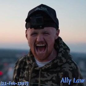 Ally Law