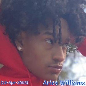 Aries Williams