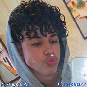 C.cessarr