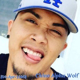 Chino Alpha Wolf