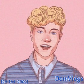 DomVlogs