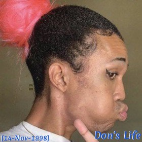 Don's Life