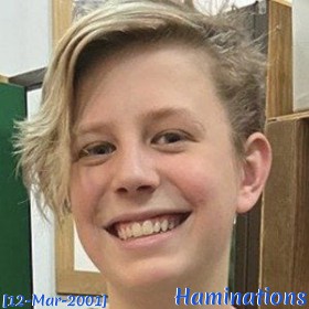 Haminations
