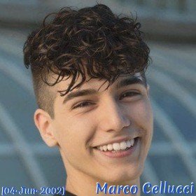 Marco Cellucci