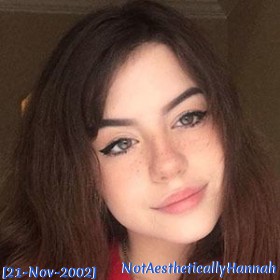NotAestheticallyHannah