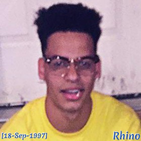 Rhino