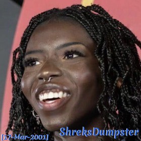 ShreksDumpster