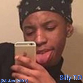 Silly T.O