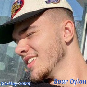 Soar Dylan