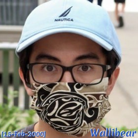 Wallibear